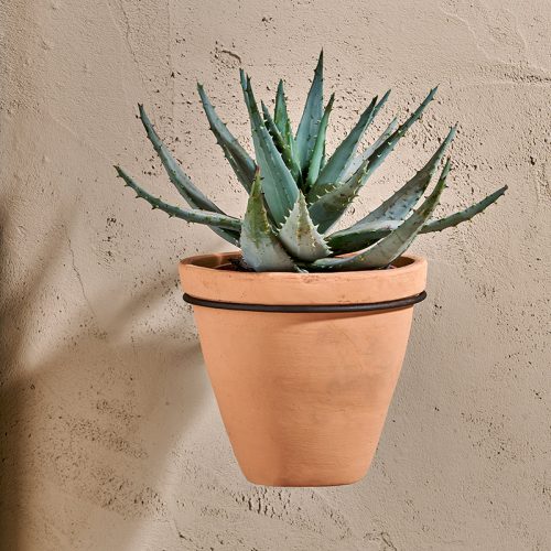 Single Wall Hung Planter