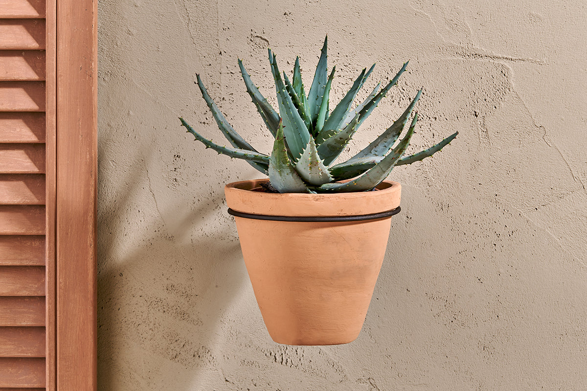 Single Wall Hung Planter